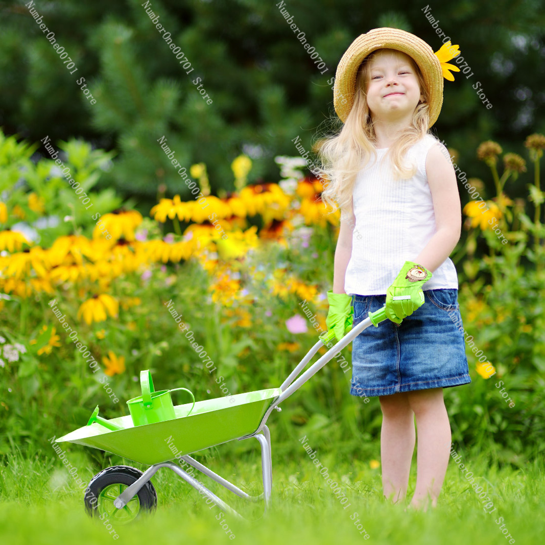 Детская уличная тачка, зеленый – обзор и цена Outdoor Toys For Kids