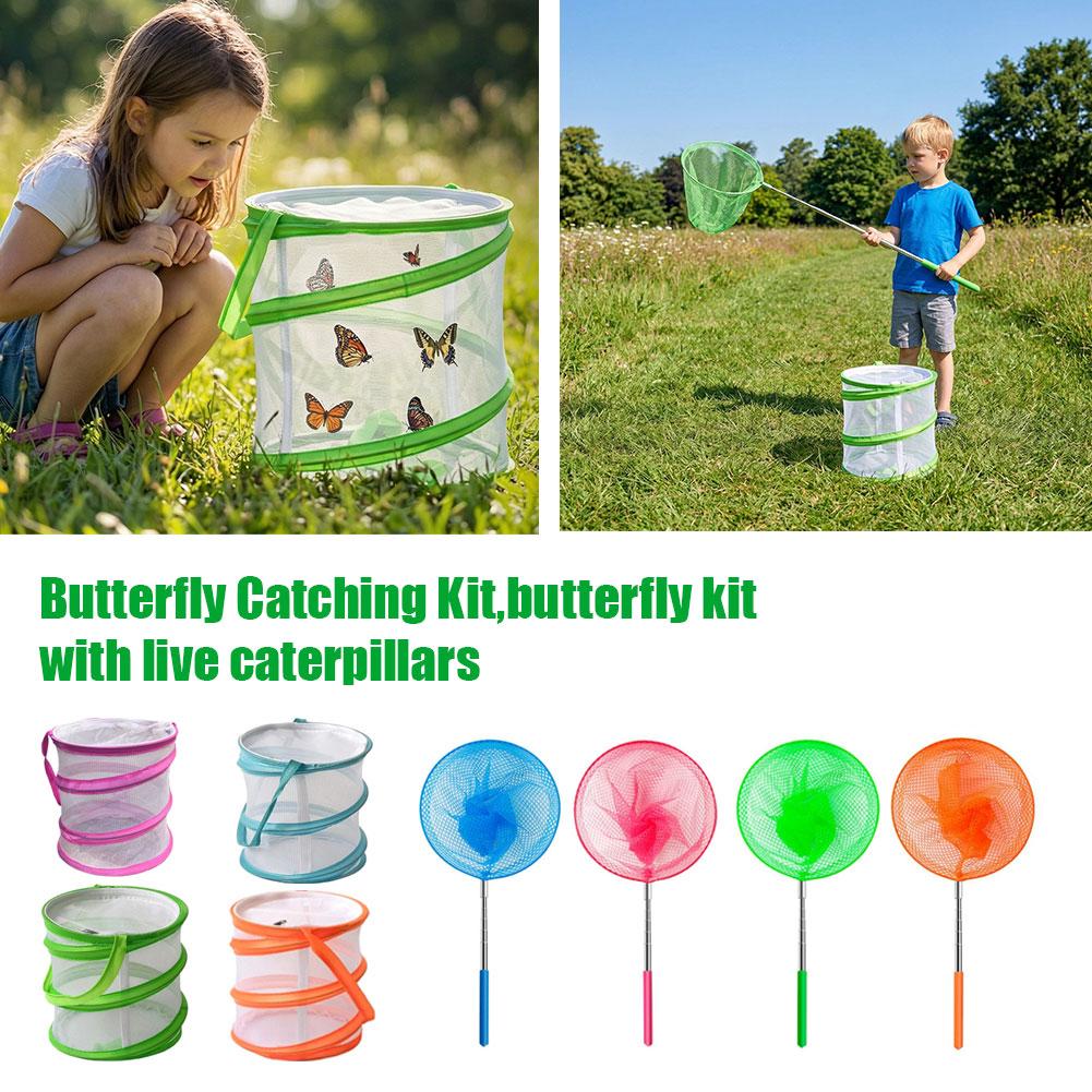 Детский набор для ловли бабоче – обзор и цена Bug Catching Kit